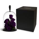 Purple roses under a glass dome with a black box on a white background
