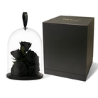 Black roses under a glass dome with a black box on a white background