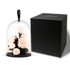 Glass dome with preserved flowers and a black box on a white background