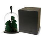 Dark green roses under a glass dome with a black box on a white background