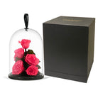 Pink roses under a glass dome with a black box on a white background