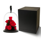 Red roses under a glass dome with a black box on a white background