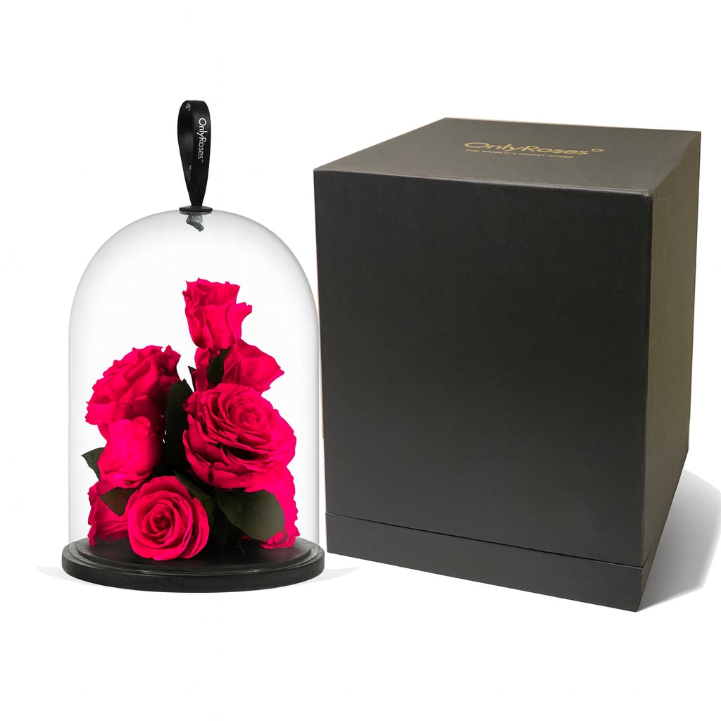 Valentines Infinite Rose Jewel - Pink Tones | OnlyRoses