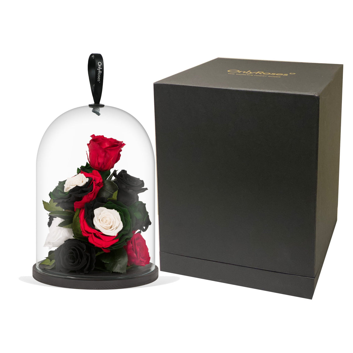 Infinite Rose Lantern Jewel Special Edition – Luxury Preserved Roses ...