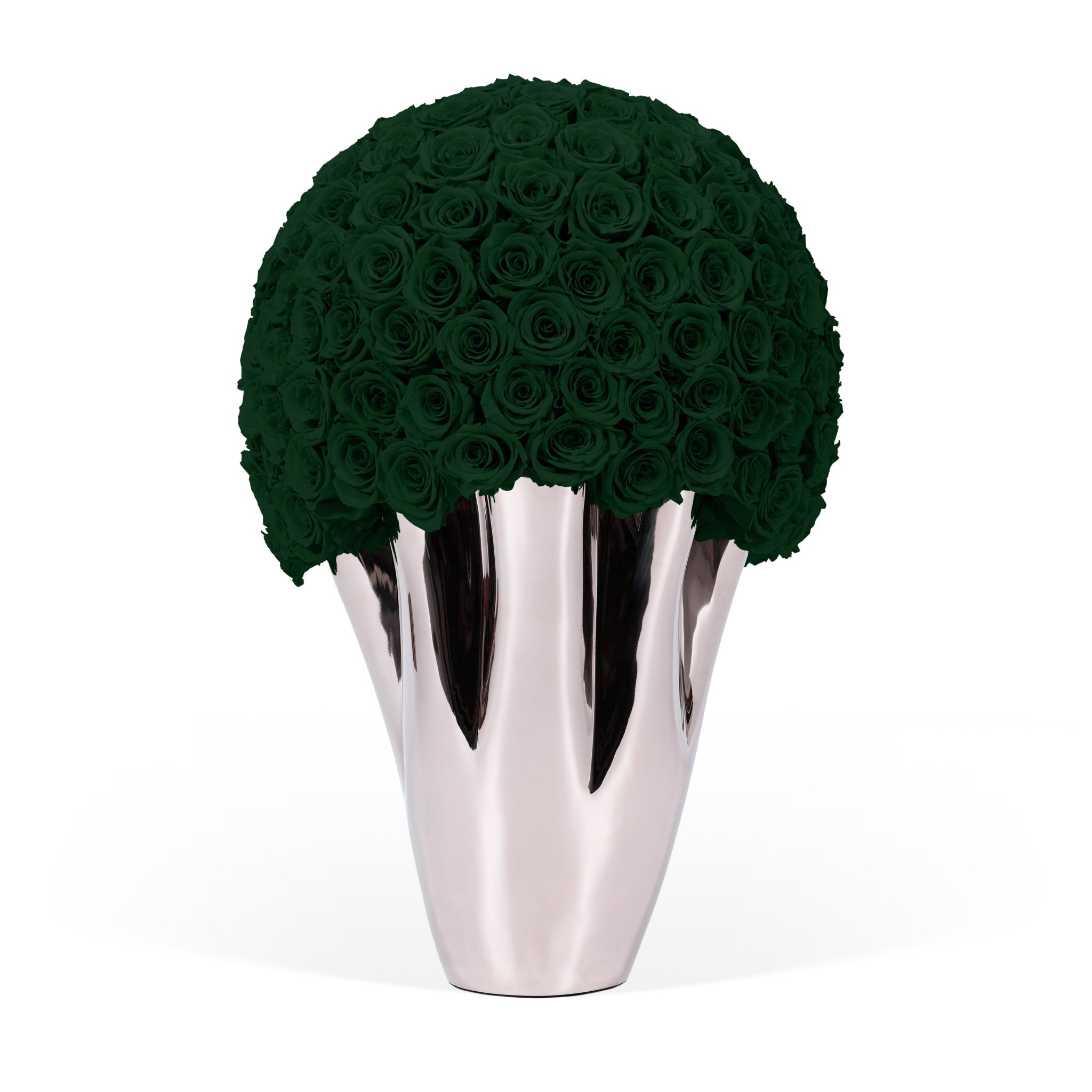 Silver vase with a large ball of dark green roses on a white background