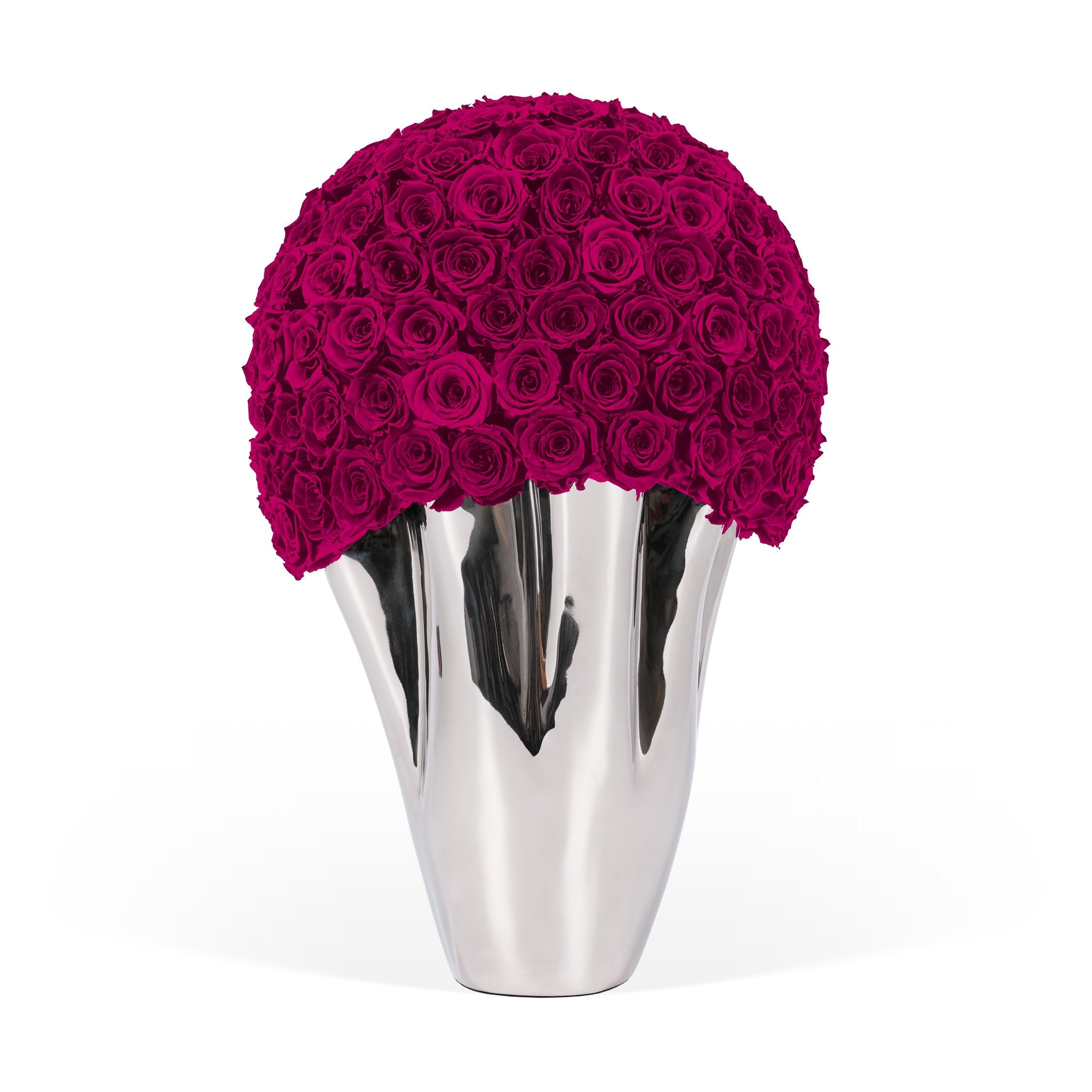 Silver vase with a large ball of bordeaux roses on a white background