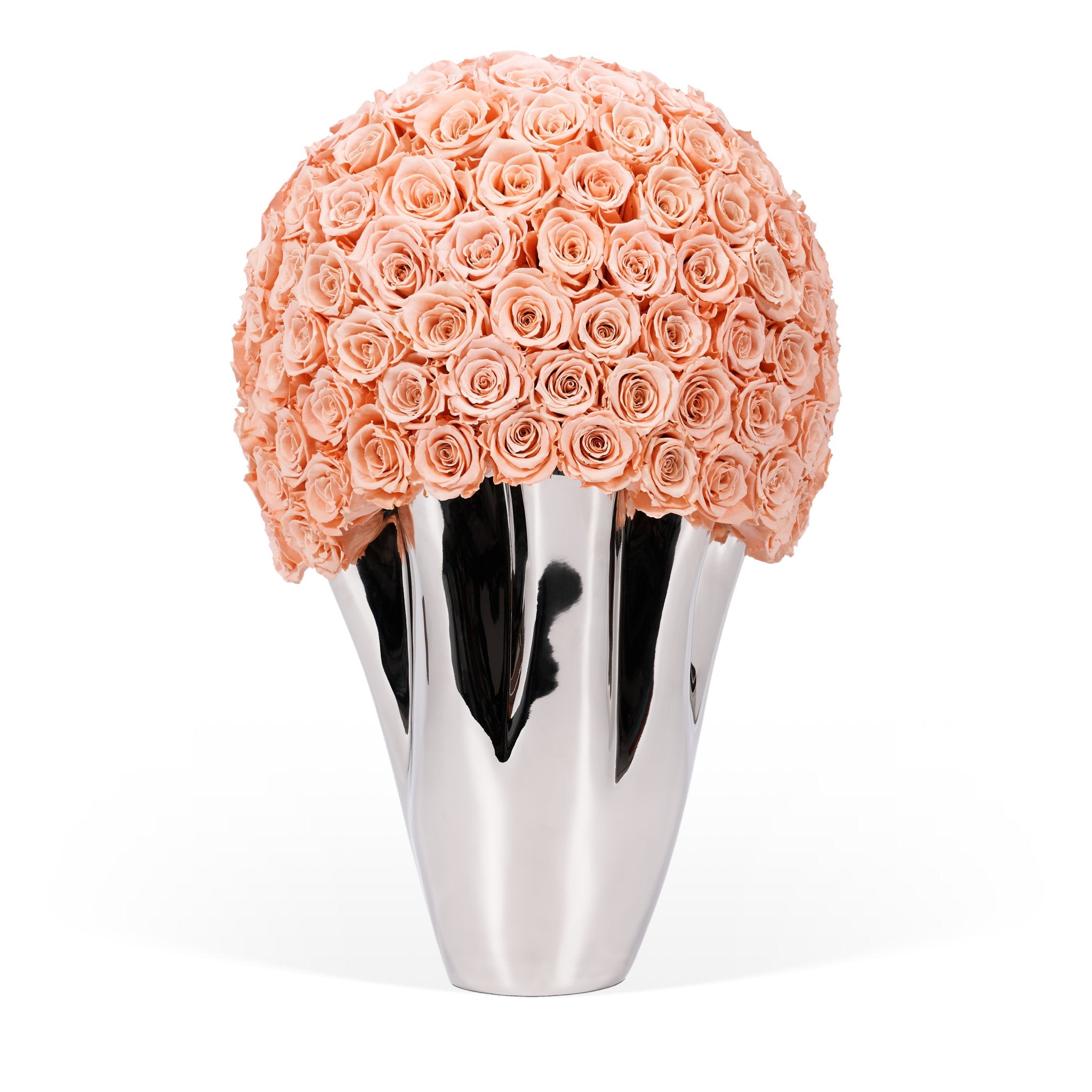 Silver vase with a large ball of peach roses on a white background