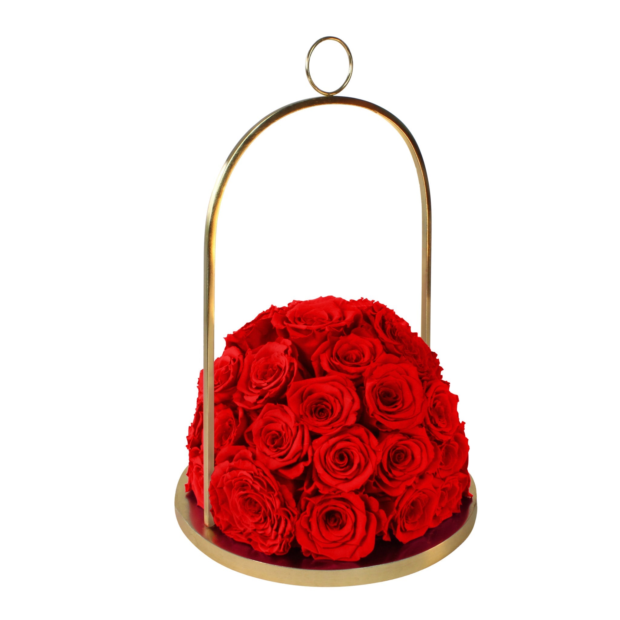 Gold hoop with red roses on a white background