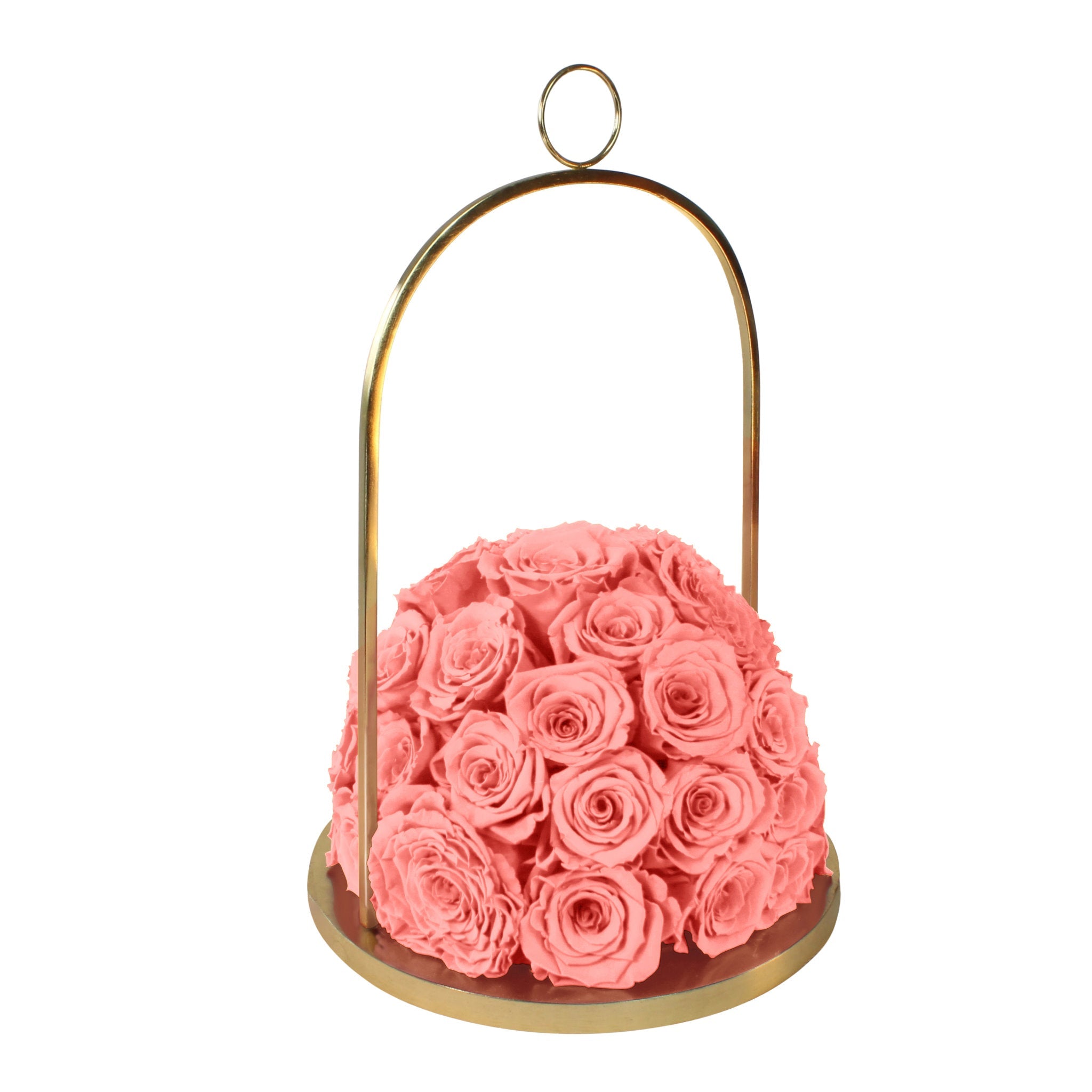 Pink roses in a gold metal holder on a white background