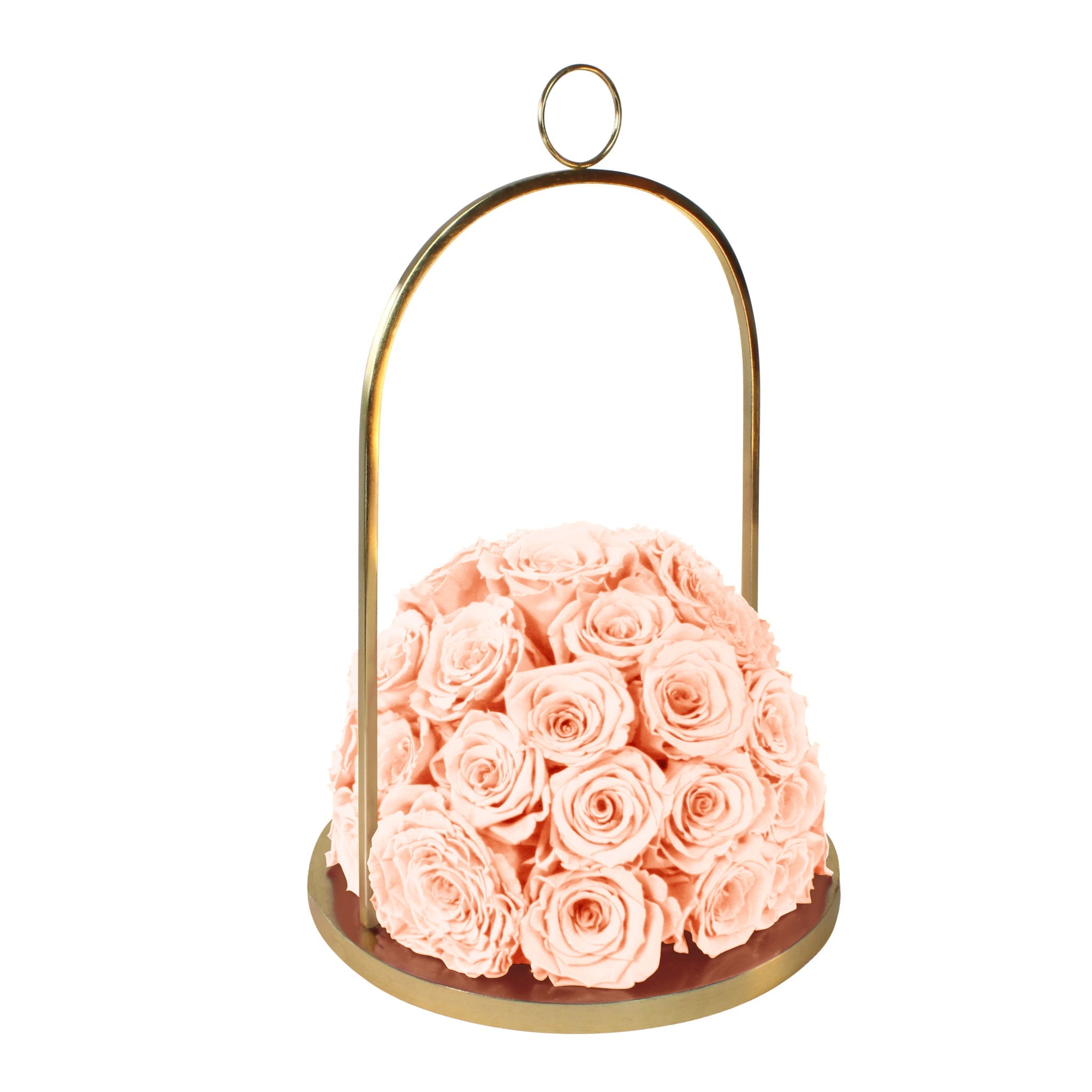 Pink roses in a gold metal holder on a white background