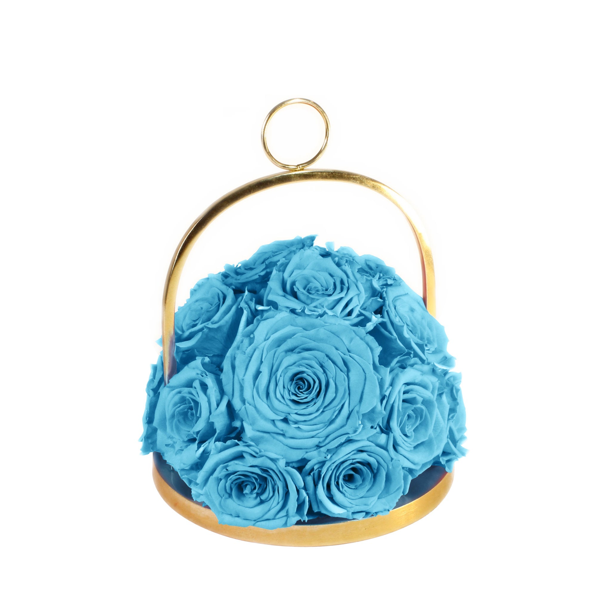 Blue roses in a gold holder on a white background