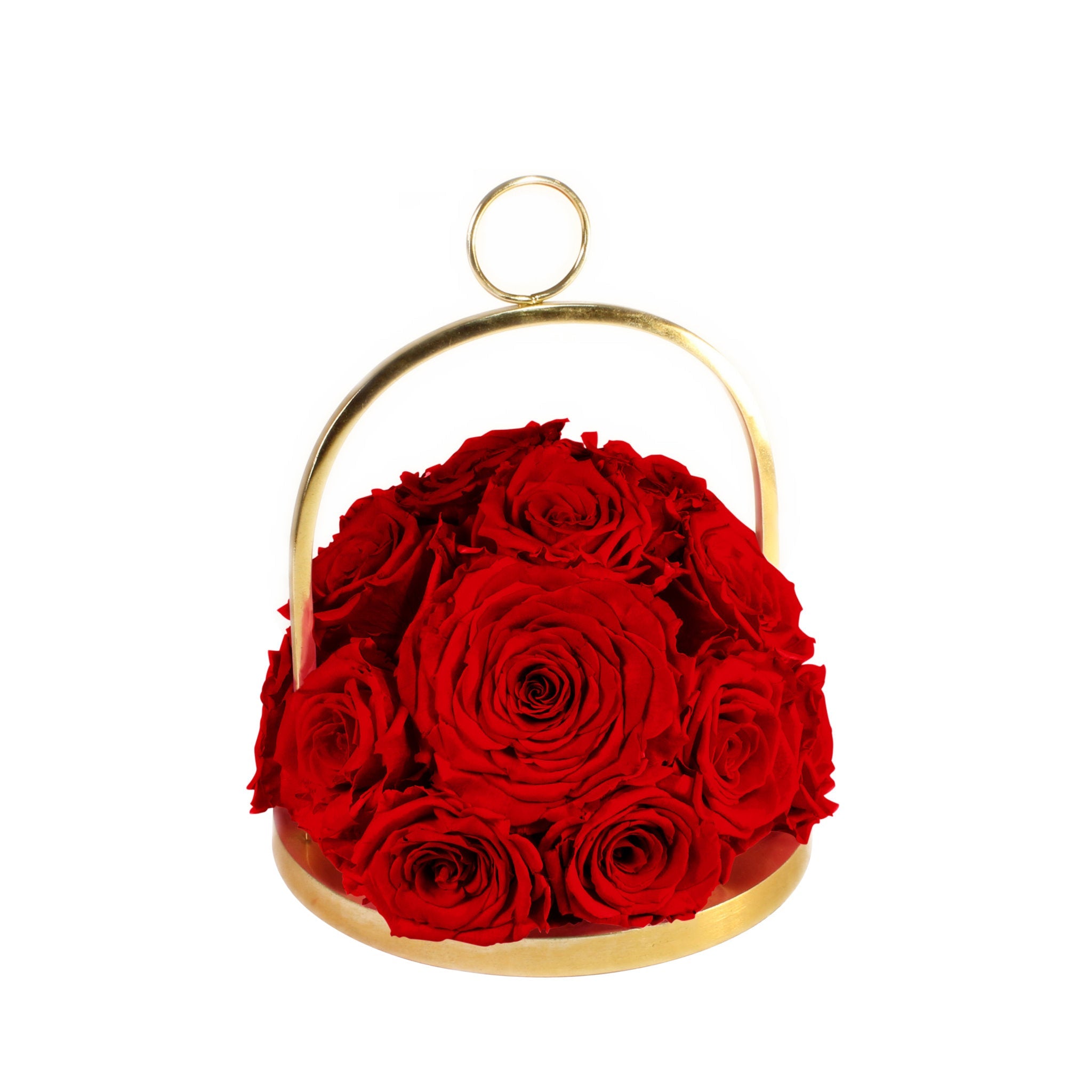 Gold hoop with red roses on a white background