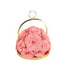 Pink roses in a gold container on a white background