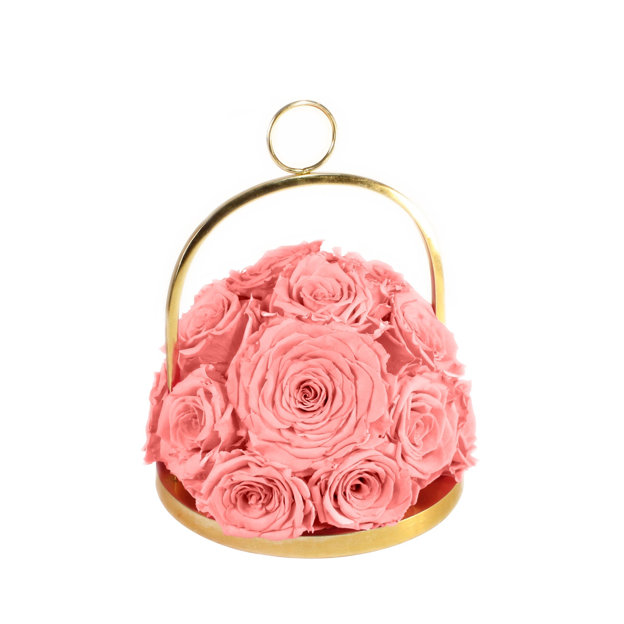 Pink roses in a gold container on a white background