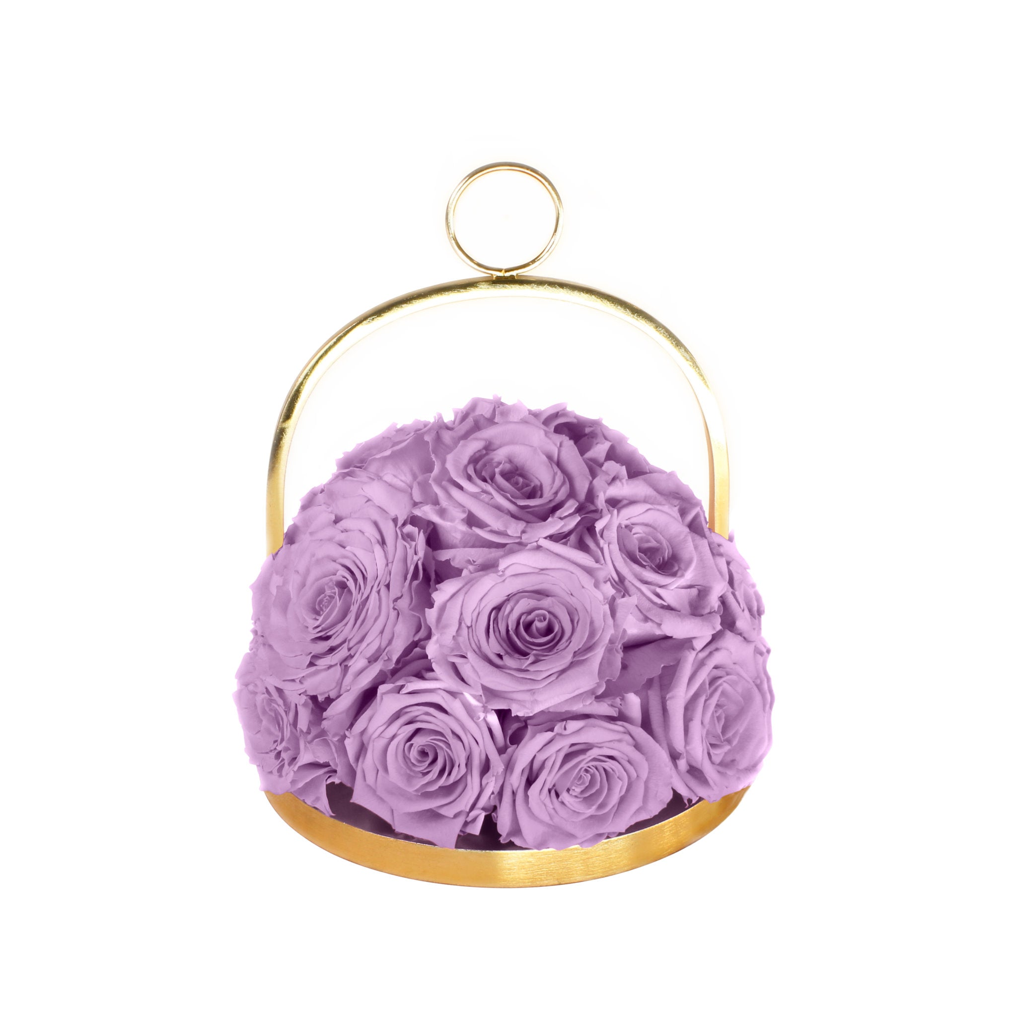 Purple roses in a gold metal holder on a white background