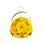 Yellow roses in a gold metal holder on a white background