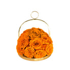 Gold hoop with orange roses on a white background