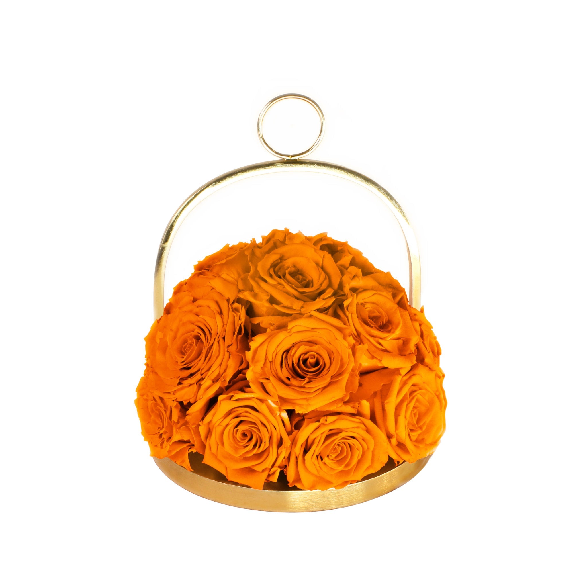 Gold hoop with orange roses on a white background