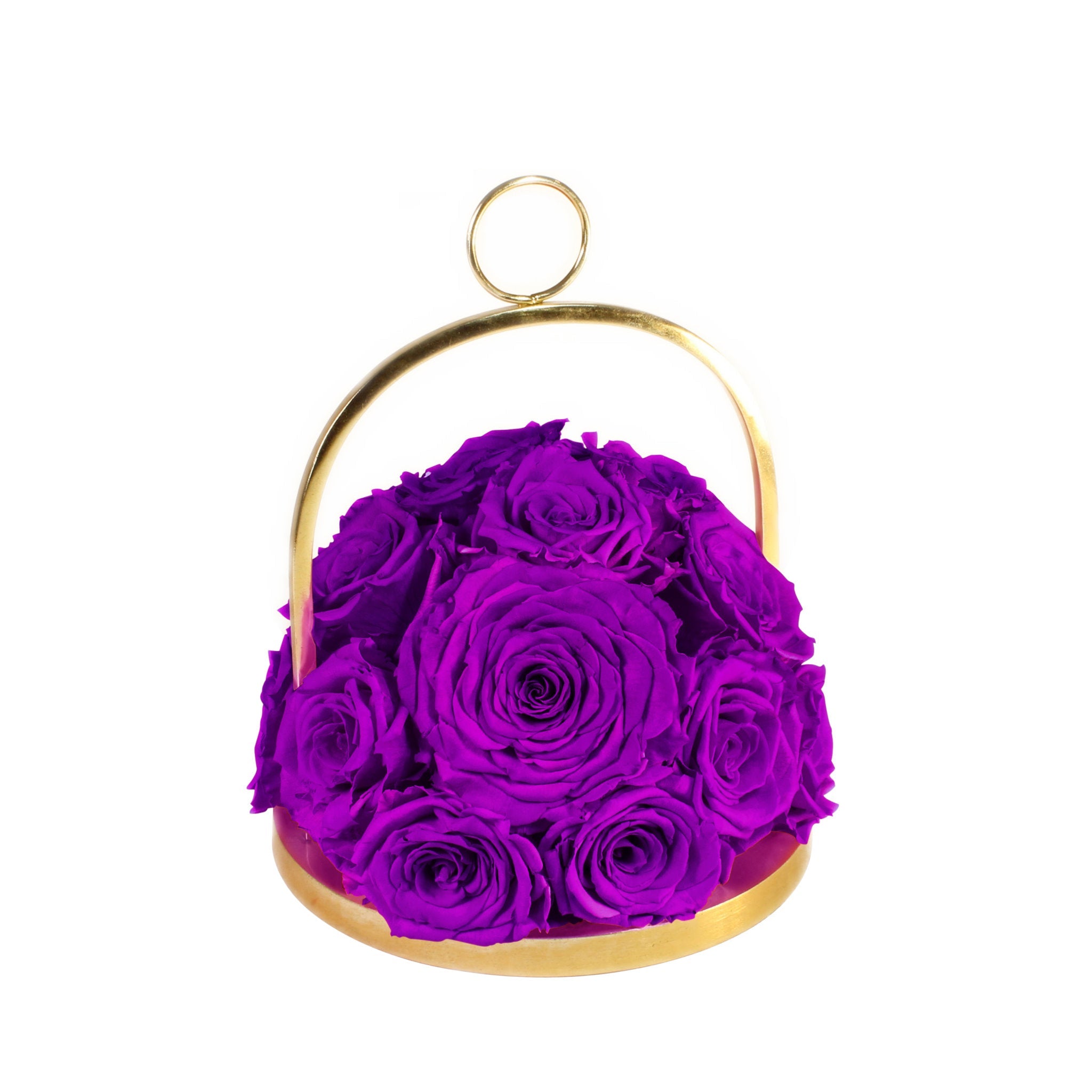 Gold hoop container with purple preserved roses on a white background