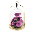 Purple roses under a glass dome with a gold base on a white background