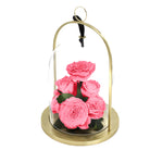 Pink roses under a glass dome with a gold base on a white background