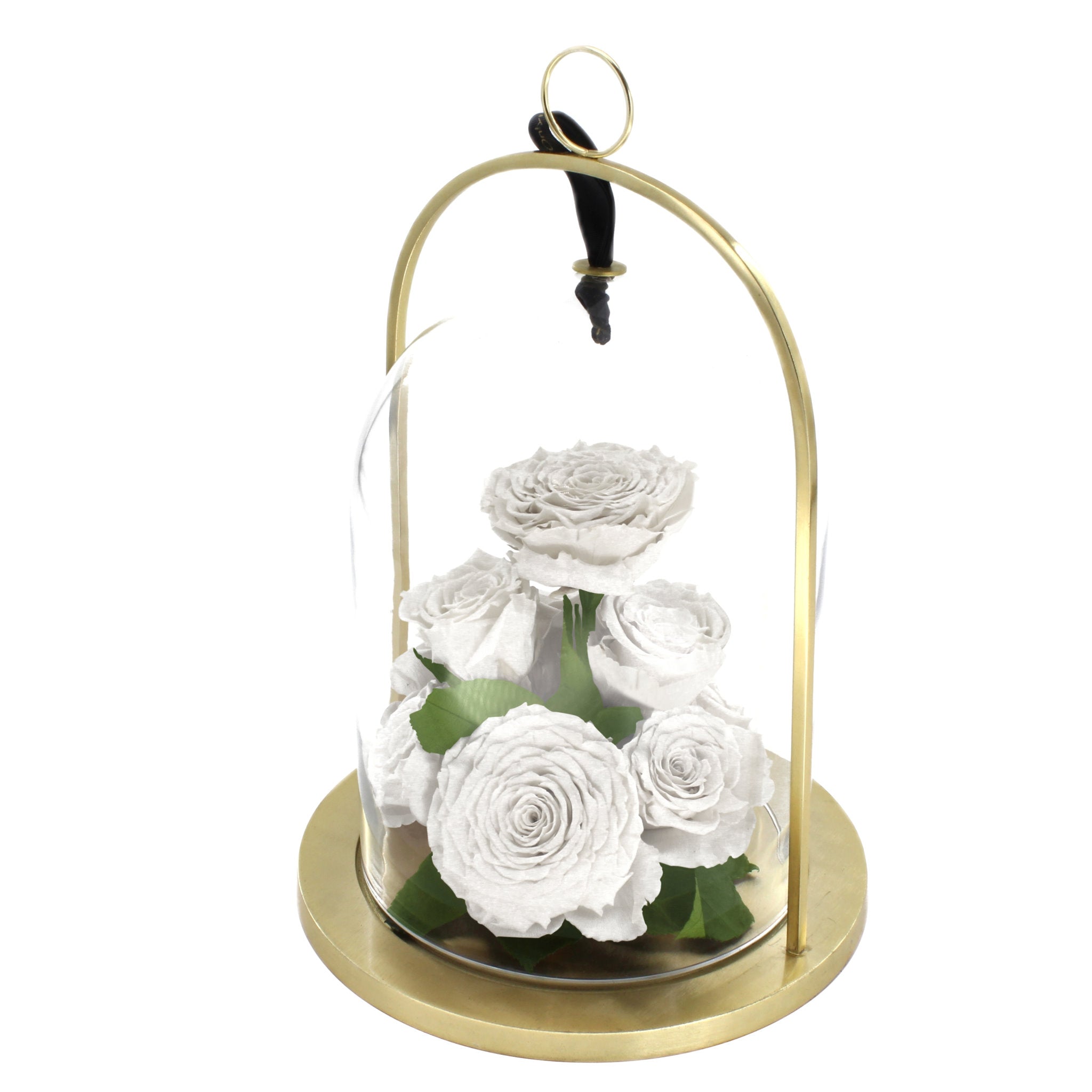 Glass dome with gold base containing white roses on a white background