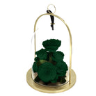 Green roses in a glass dome with gold base on a white background