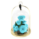 Turquoise roses inside a clear glass dome with a gold base on a white background