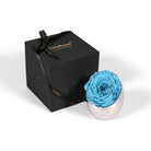 Blue rose in a silver holder next to an 'Only Roses' black box on a white background