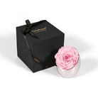 Pink rose in a silver holder next to an 'Only Roses' black box on a white background