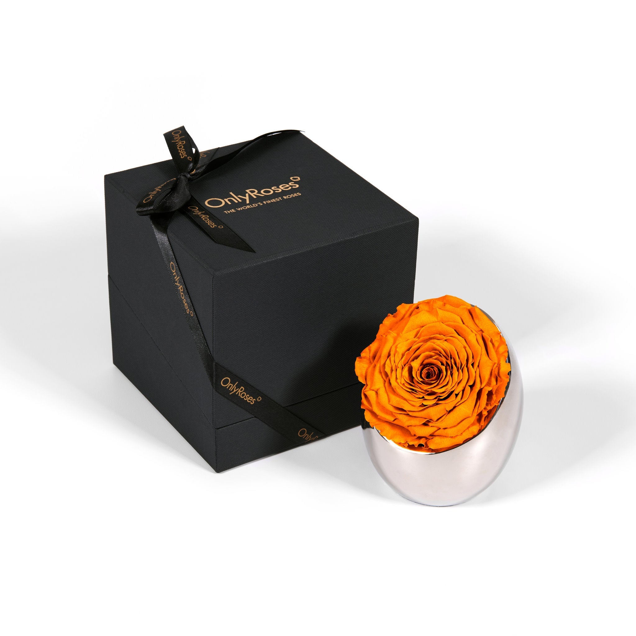 Black gift box with a gold bow and 'Only Roses' branding, containing an orange rose in a silver holder on a white background.