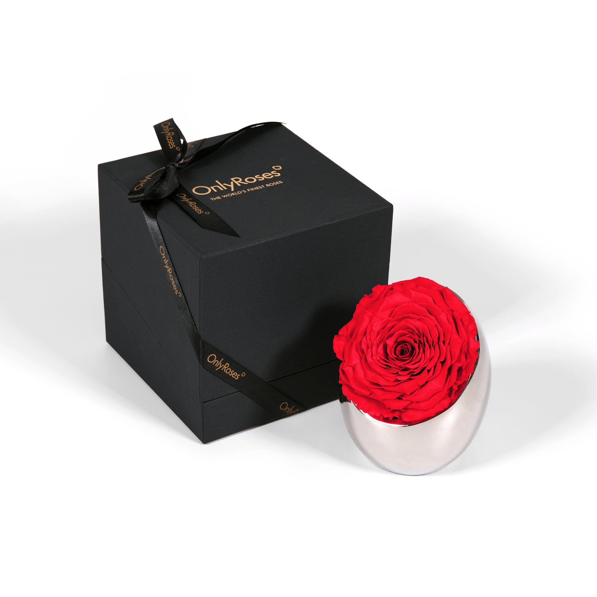 Black gift box with a red rose and 'Only Roses' branding on a white background