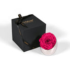 Pink rose in a silver holder next to an 'Only Roses' black box on a white background