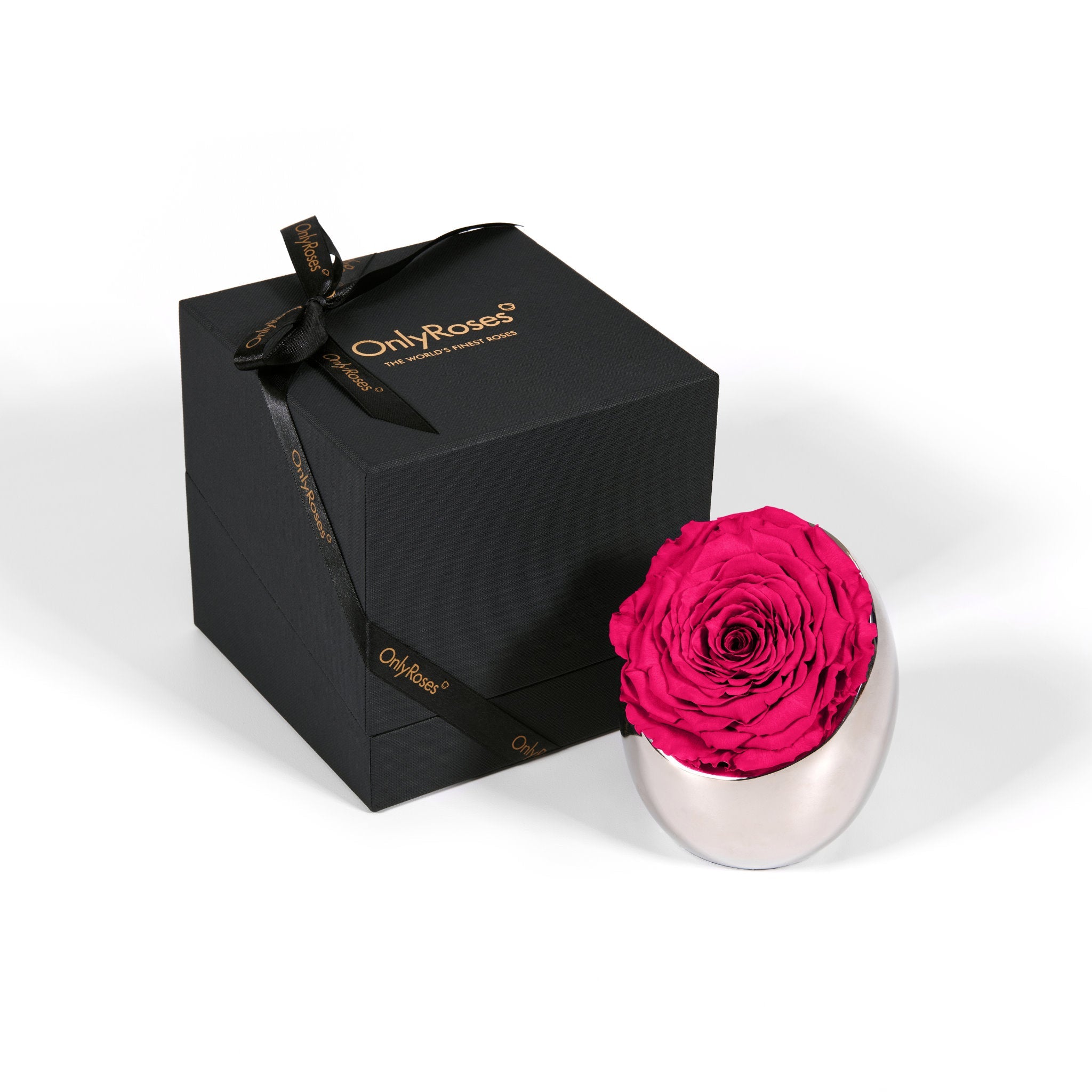 Pink rose in a silver holder next to an 'Only Roses' black box on a white background