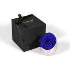 Blue rose in a silver holder next to an 'Only Roses' black box on a white background