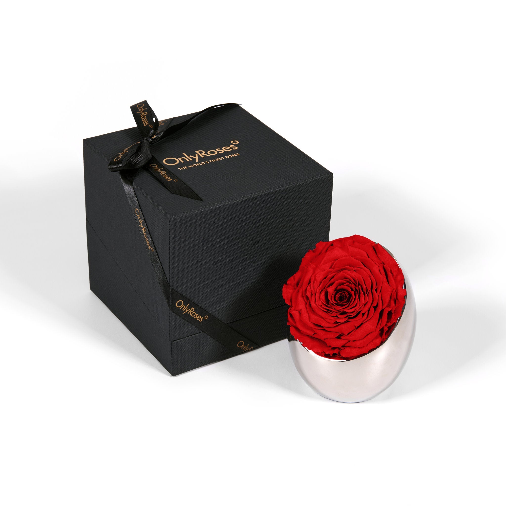 Black gift box with a red rose and 'Only Roses' branding on a white background