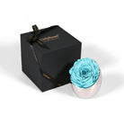 Turquoise rose in a silver holder next to an 'Only Roses' black box on a white background
