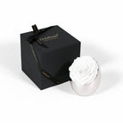 White rose in a silver holder next to a black box with 'Only Roses' branding on a white background