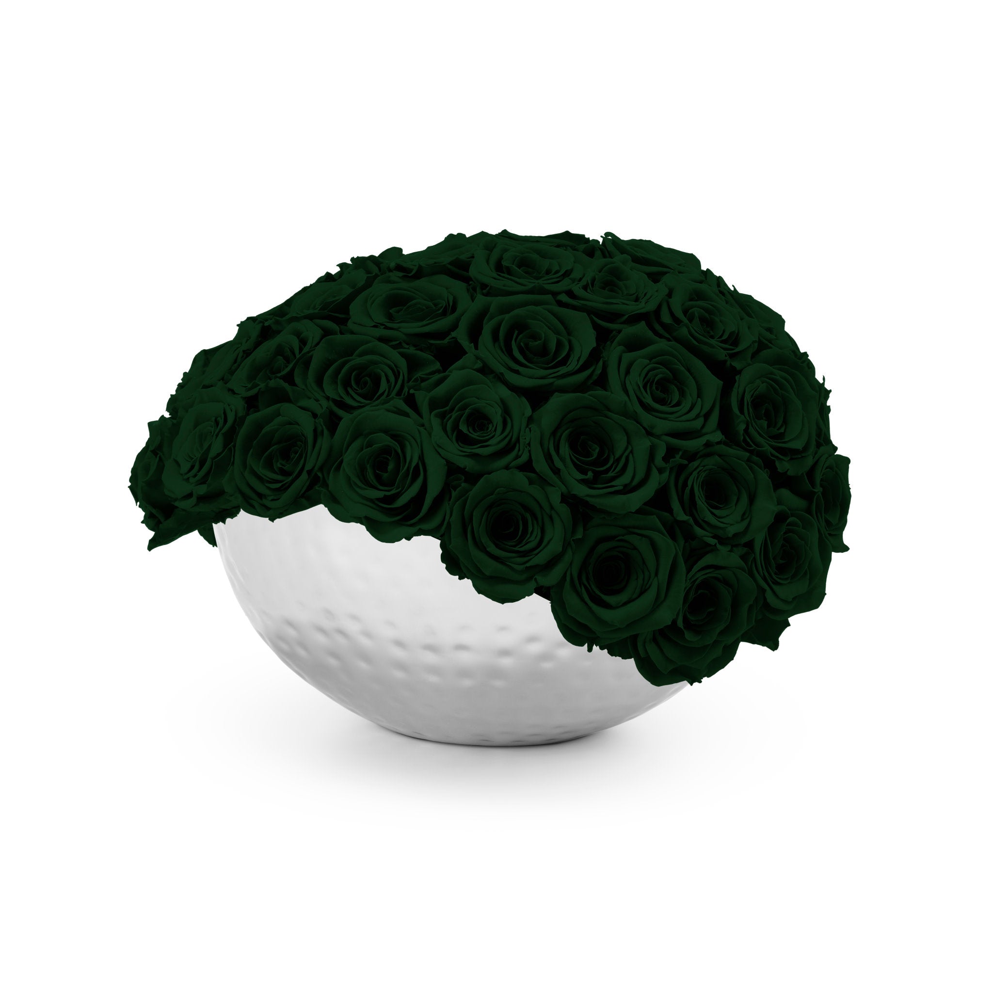 White spherical vase filled with dark green roses on a white background
