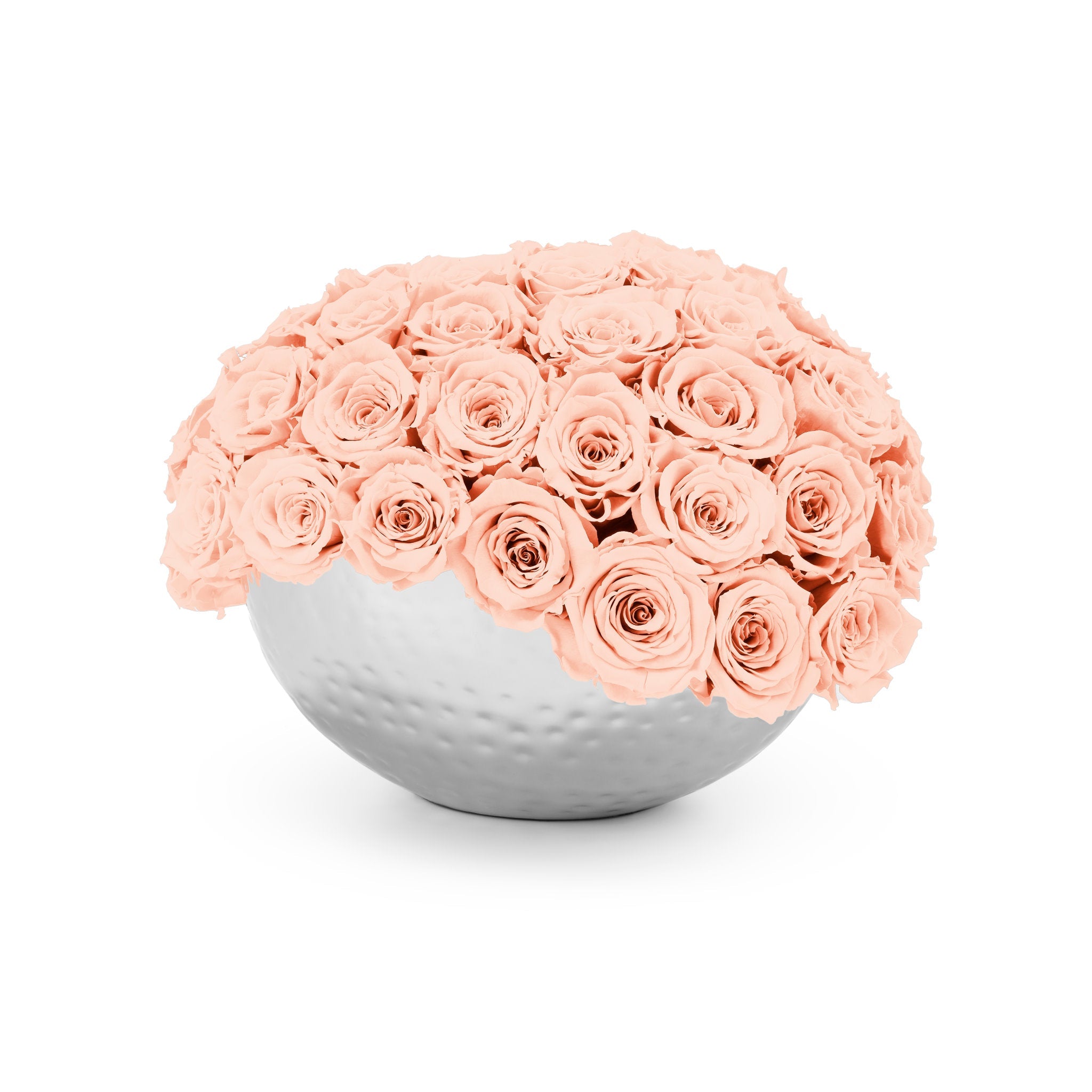 Bouquet of pink roses in a white spherical vase on a white background