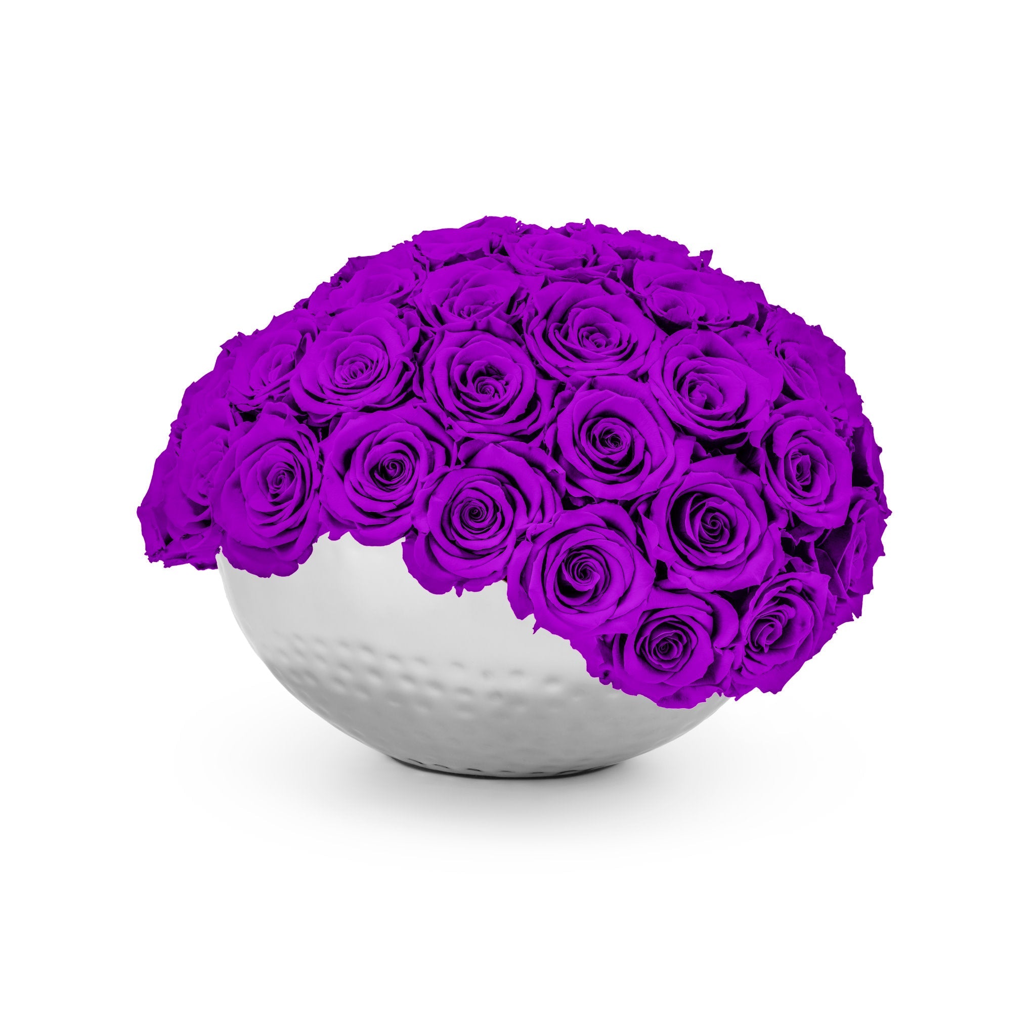 White spherical vase filled with purple roses on a white background