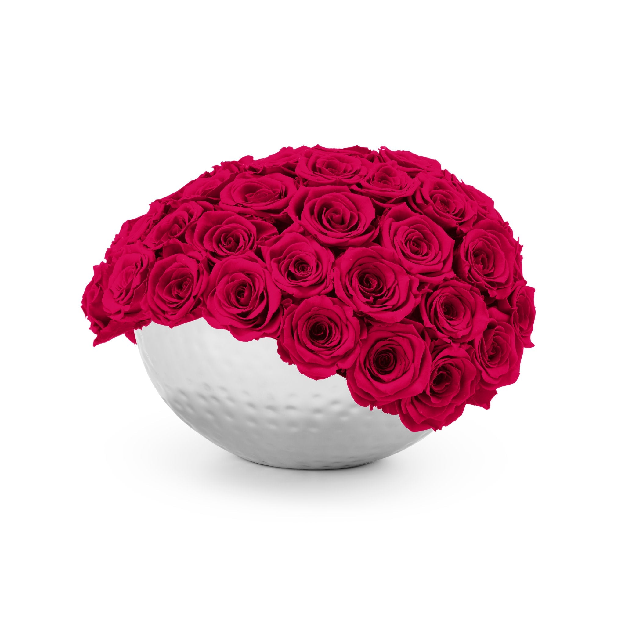 White spherical vase filled with bright pink roses on a white background