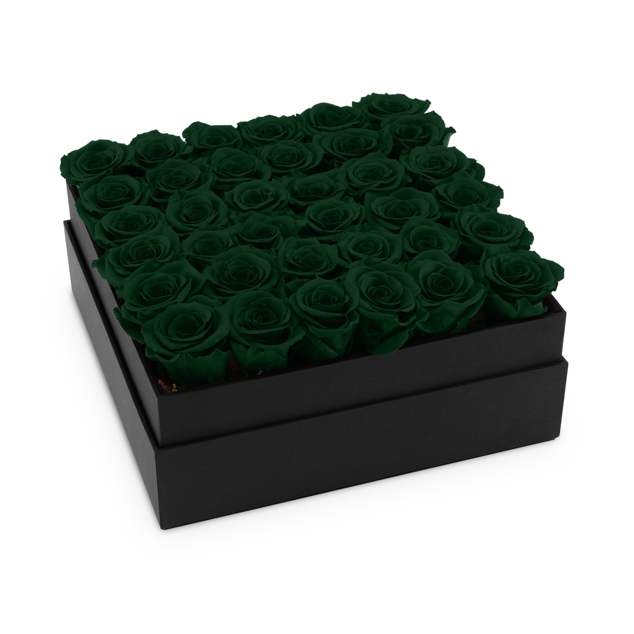 Black box filled with dark green preserved roses on a white background