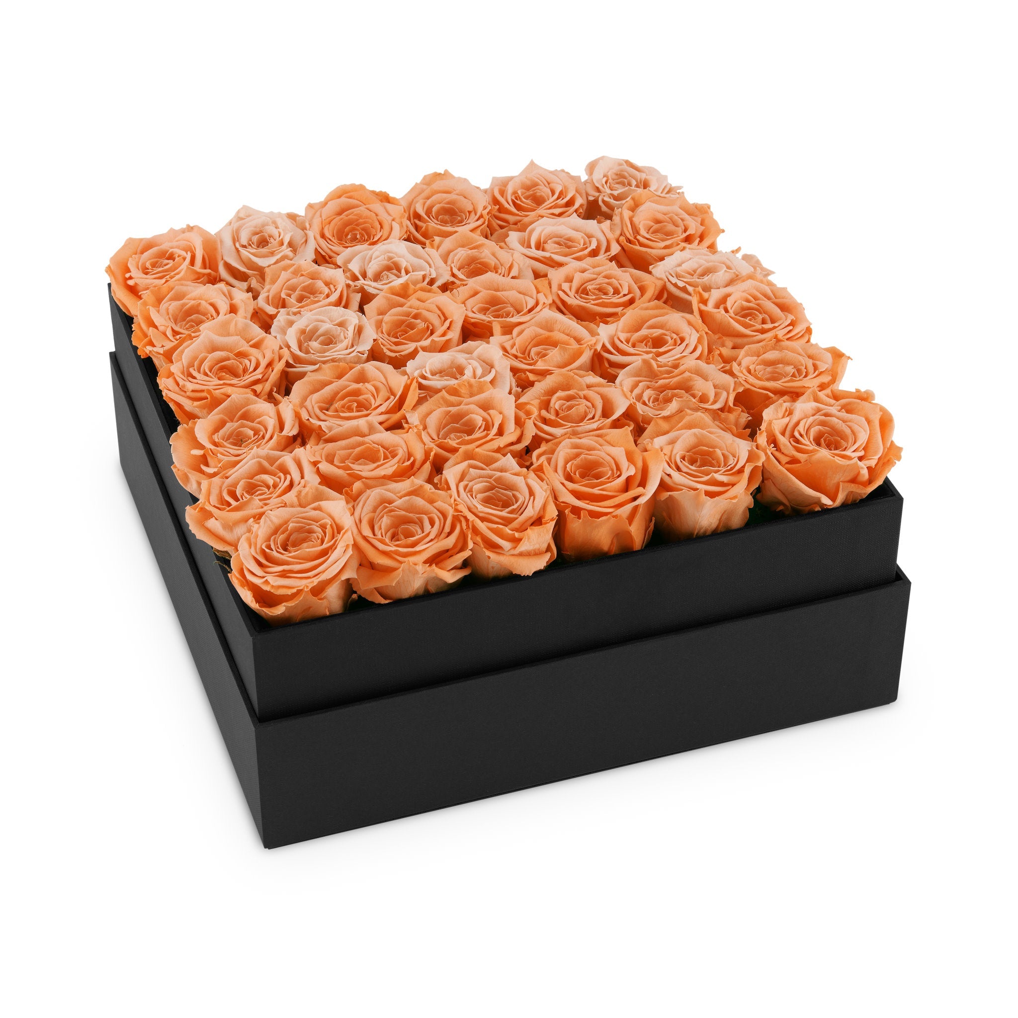 Black box filled with orange roses on a white background