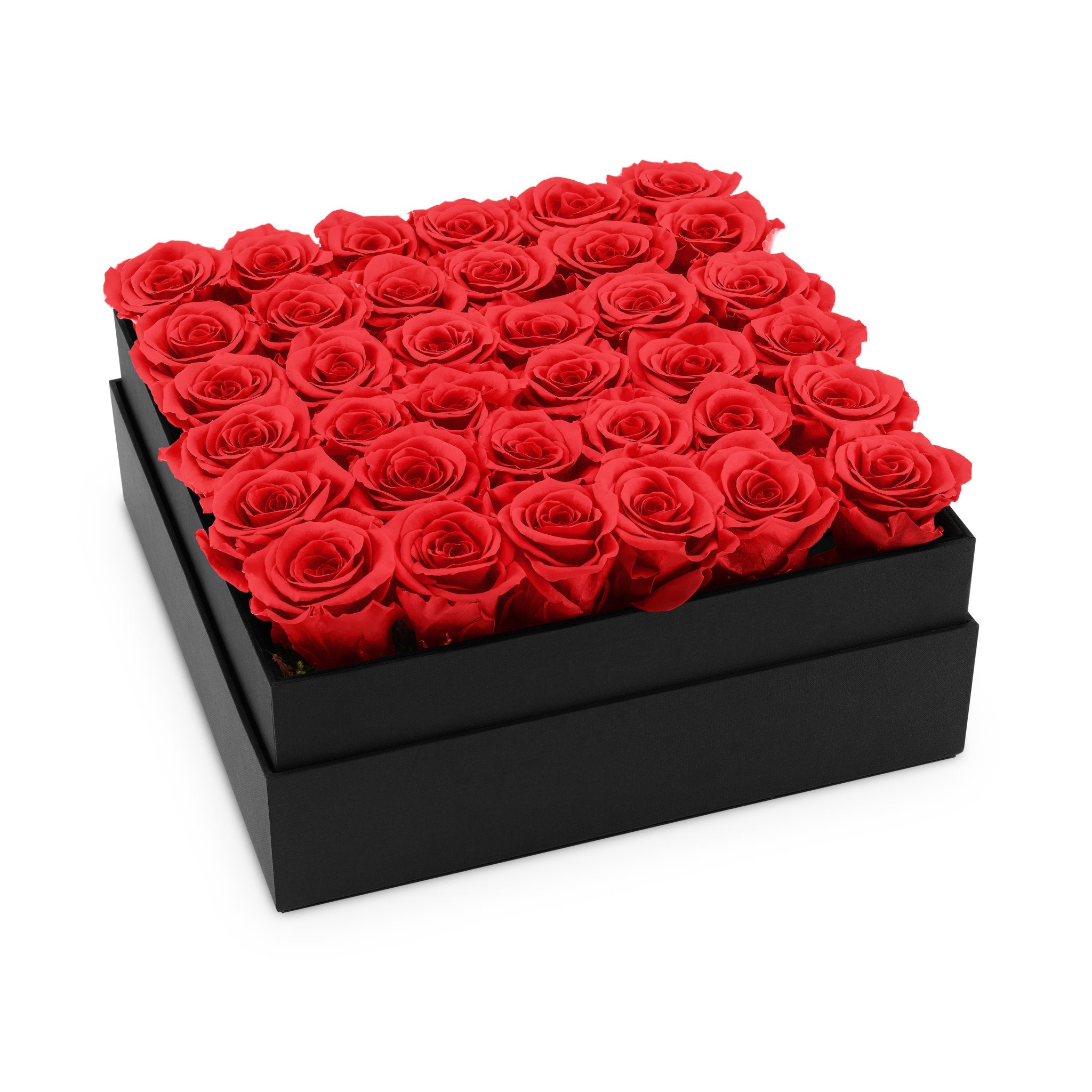 Black box filled with red roses on a white background