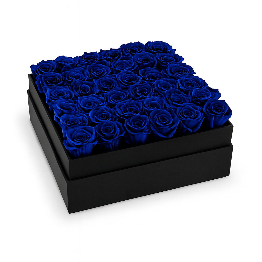Black box filled with blue roses on a white background
