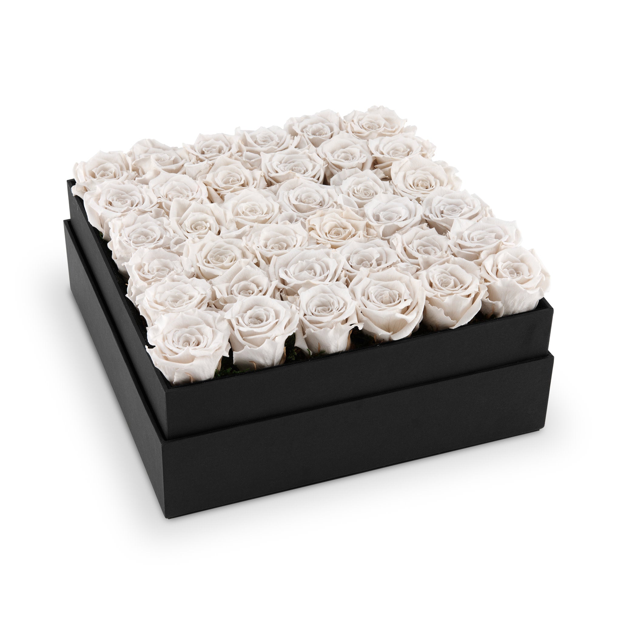 Black box filled with white roses on a white background
