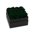Black box with dark green roses on a white background