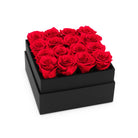 Black box filled with red roses on a white background