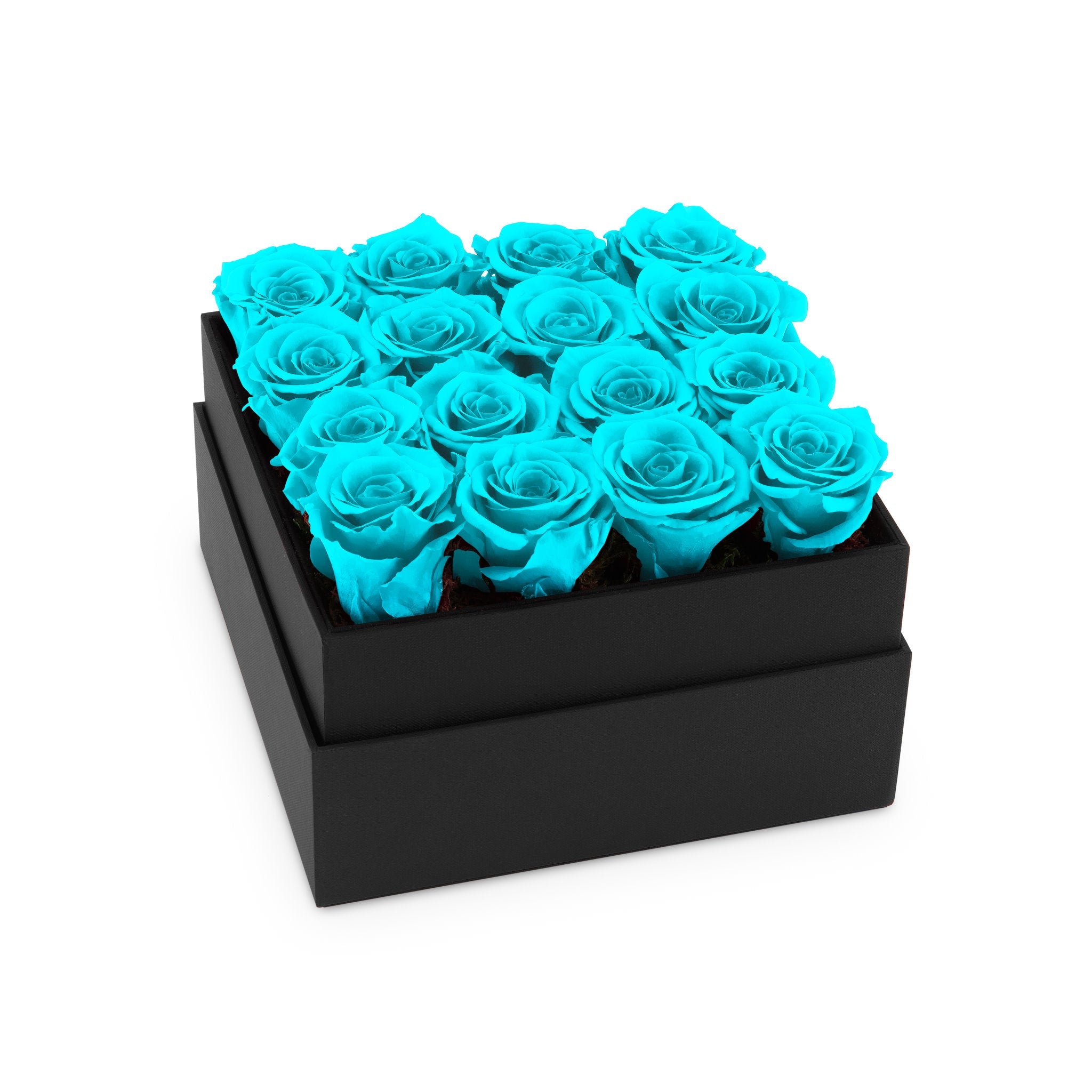 Black box with turquoise roses on a white background
